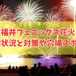 【2026年開催】福井フェニックス花火はどれくらい混雑する？穴場スポットや屋台の楽しみ方